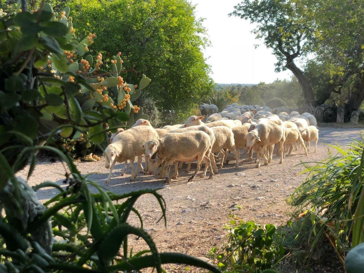 ポレンサ Agroturismo Can Guilloヴィラ エクステリア 写真